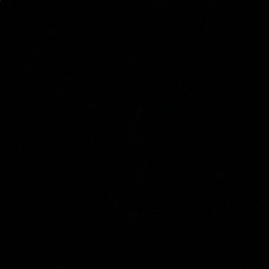 Meet your Posher, Angel